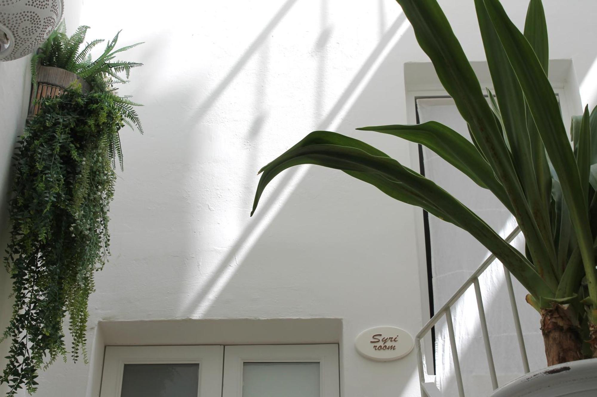 גאליפולי Palmieri Luxury Rooms מראה חיצוני תמונה